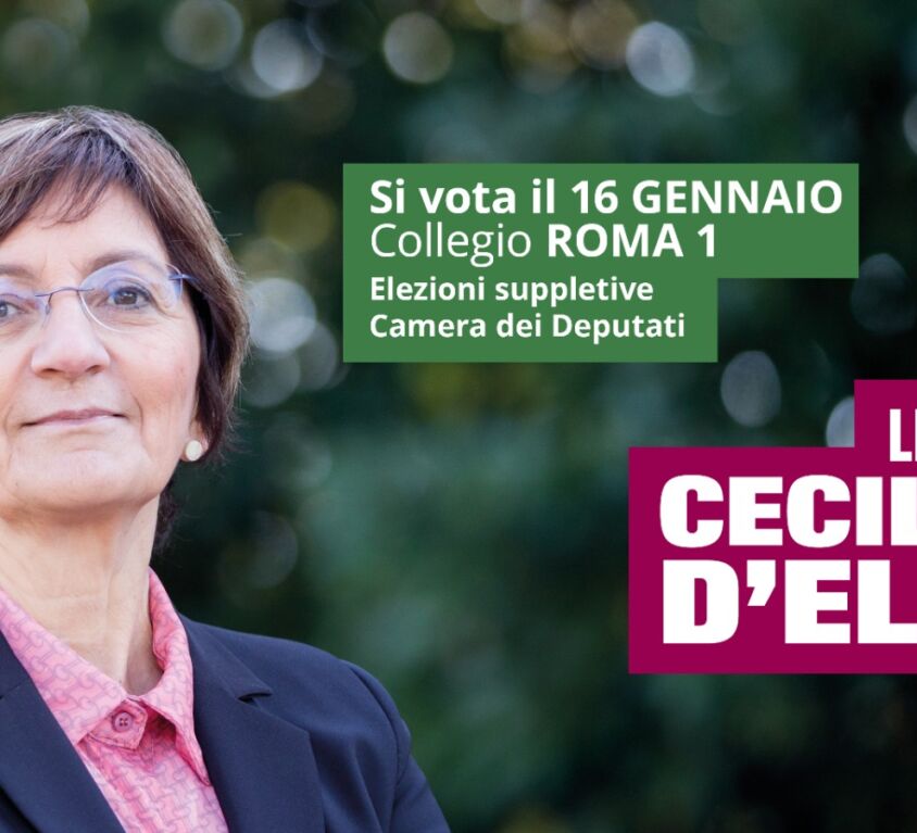 Cecilia D'Elia Candidata al Collegio Roma 1 suppletive Camera dei Deputati